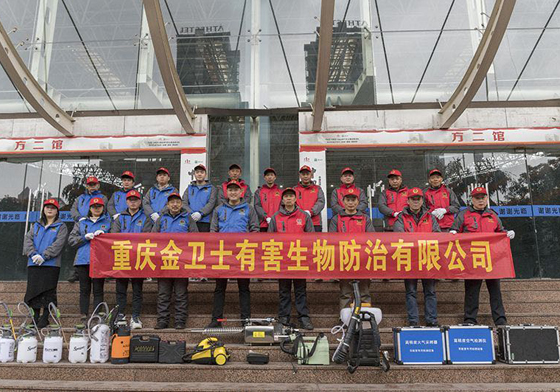 散白蟻侵害現(xiàn)代建筑，如何有效進(jìn)行白蟻防治處理