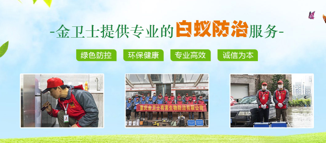 春季3月時(shí)期，白蟻消殺工作任重而道遠(yuǎn)  ?