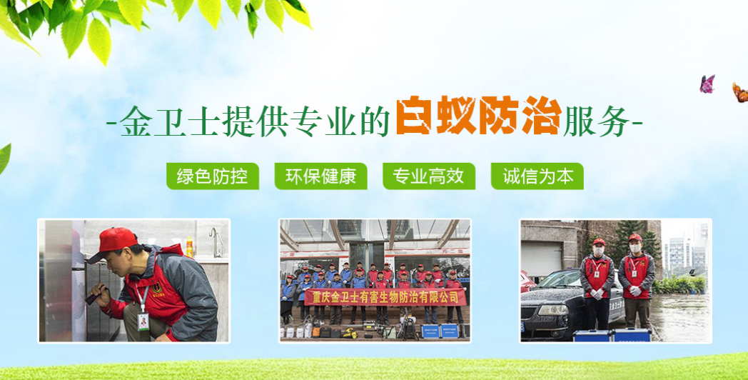 丑陋的蟑螂看起來很可怕。如何解決這種情況？