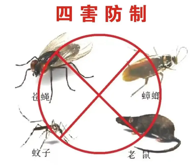 蟑螂怎么消滅？除蟑螂只需做到這3點