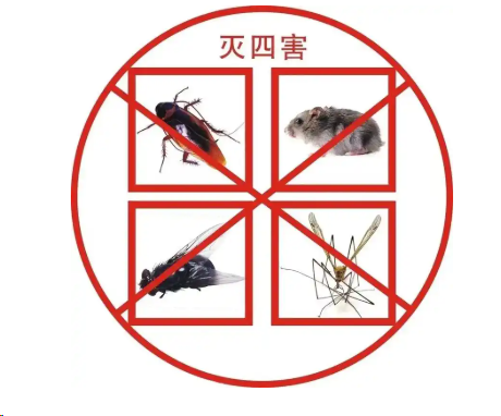 重慶專業(yè)白蟻防治中心